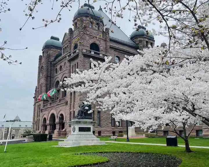 cherry blossom Toronto at the Legislative Assembly of Ontario building in Toronto