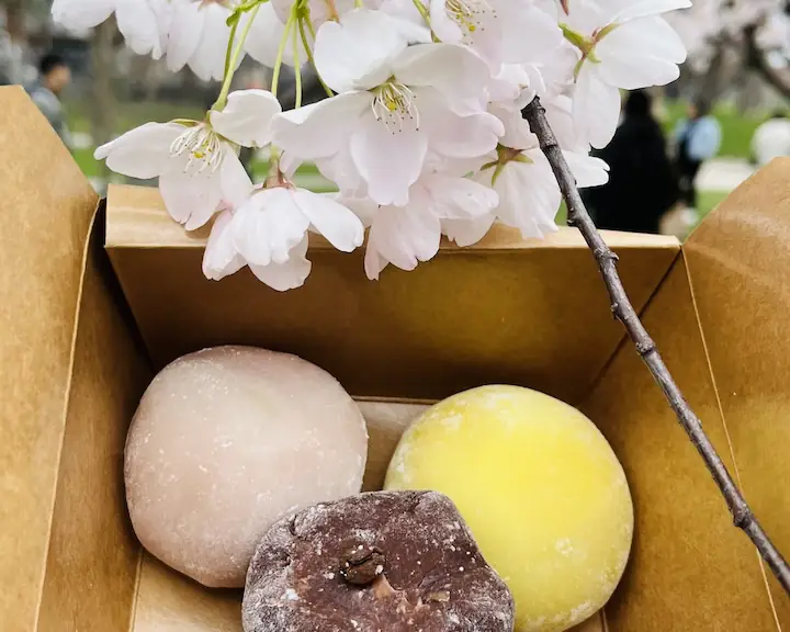 Japanese mochi in celebration of cherry blossom trees yuzu pistachio sakura and tiramisu prepared by Natural Japan Eats in collab with Tsuchi
