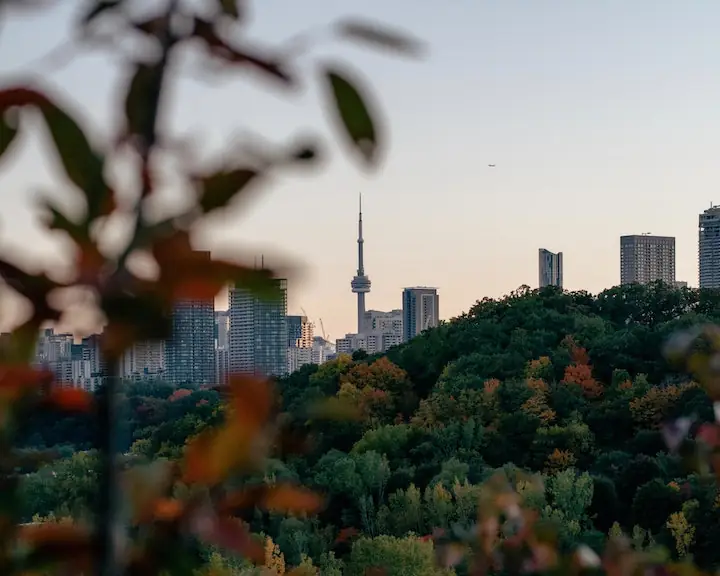 Photo of nature with the CN Tower in the background taken from the Don Valley Bike Trail Toronto