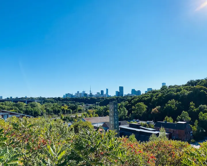 view from top of the hill at Evergreen Brick Works you can see the Toronto Skyline in the distance emerging from the lush green trees of the Don Valley Bike / Hike Trail Toronto