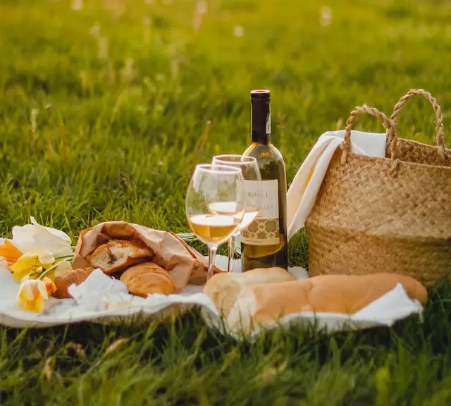 picnic with wine glasses, picnic basket, baguettes, etc.