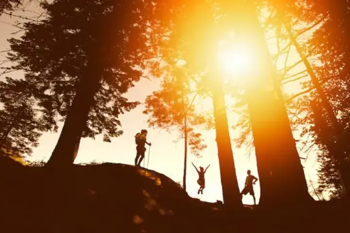 three people hiking through the woods, forest, or park at sunset - we see their silhouettes - one is walking with walking sticks and wearing a backpack, one is jumping and one is striking a pose with their hand on their hip