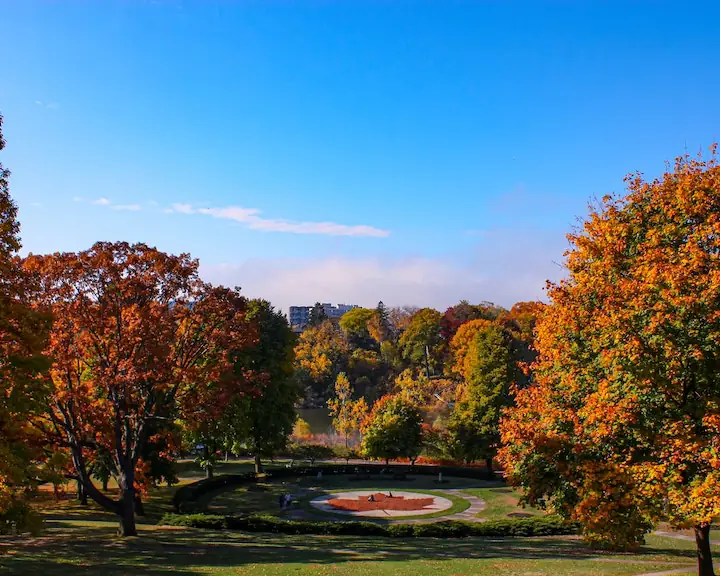 fall trees and blue sky with High Park's Maple Leaf in the middle by @edenboudreau