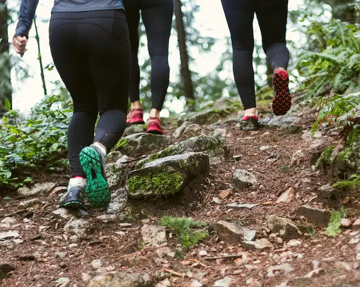 three people hiking in a park with trees and ferns while wearing yoga pants